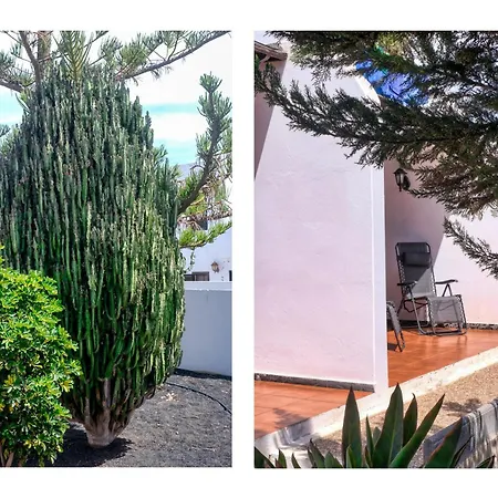 Abora - 500m To The By Lanzarote Daire *